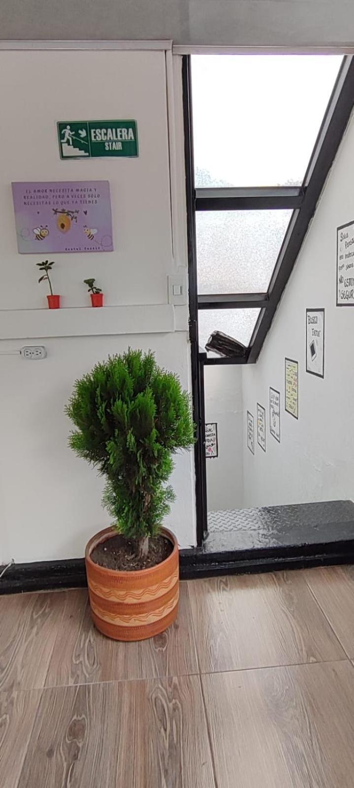 Hostal Casale Usaquen 보고타 외부 사진